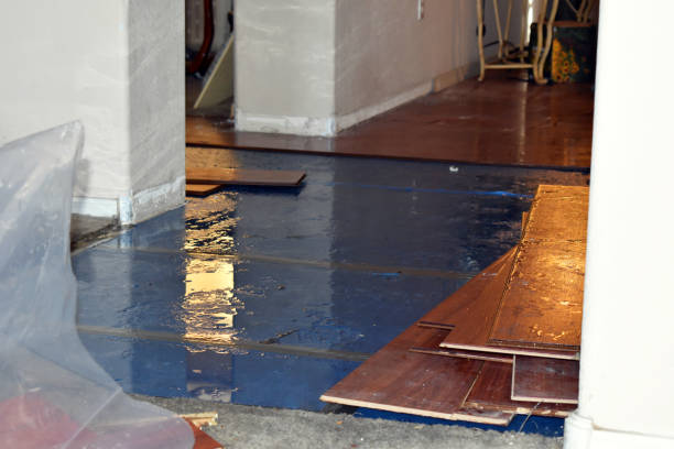 Professional Water Damage technician working in West College Corner, IN
